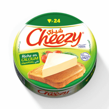 CHEEZY fromage 24 portions