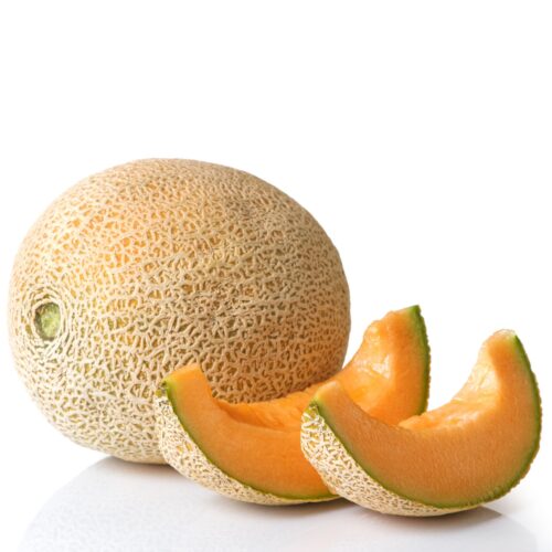 Melon
